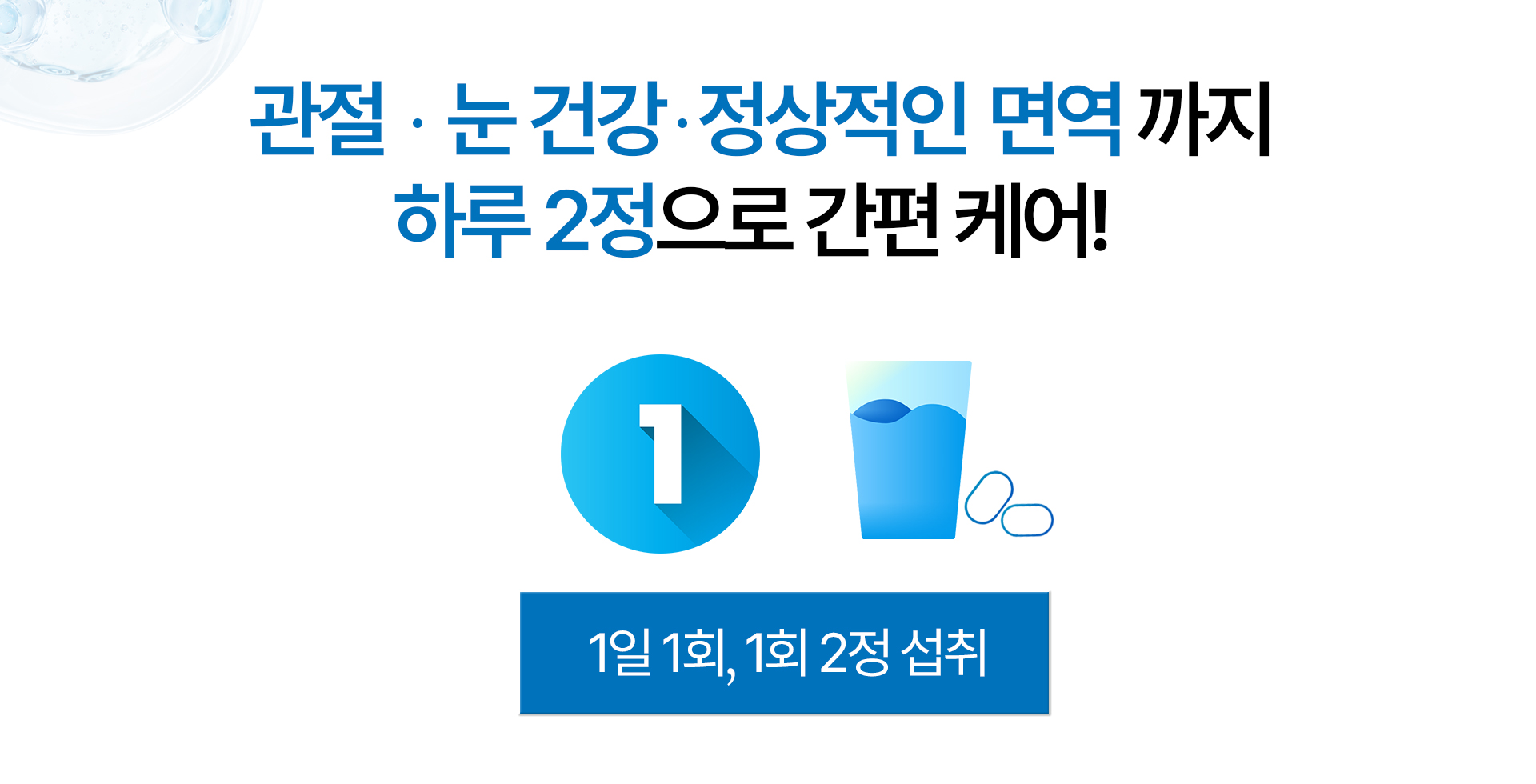 하루 2정 섭취 안내